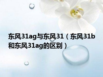 东风31ag与东风31（东风31b和东风31ag的区别）