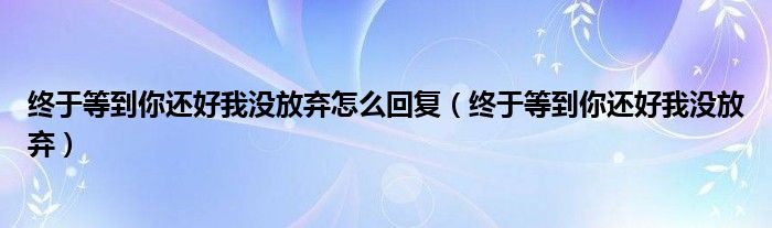  终于等到你还好我没放弃怎么回复（终于等到你还好我没放弃）