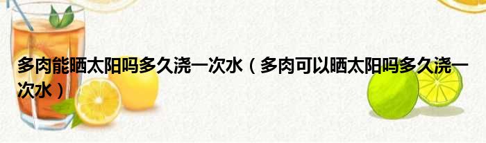 多肉能晒太阳吗多久浇一次水（多肉可以晒太阳吗多久浇一次水）