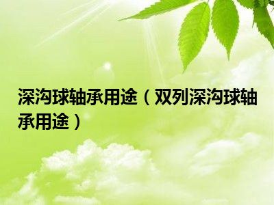 深沟球轴承用途（双列深沟球轴承用途）