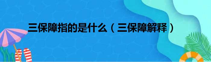 三保障指的是什么（三保障解释）