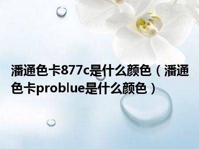 潘通色卡877c是什么颜色（潘通色卡problue是什么颜色）