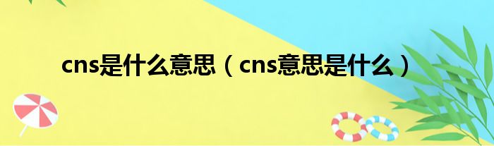 cns是什么意思（cns意思是什么）