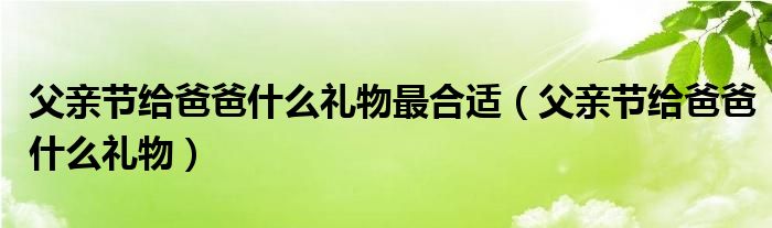  父亲节给爸爸什么礼物最合适（父亲节给爸爸什么礼物）