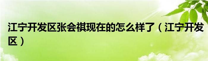  江宁开发区张会祺现在的怎么样了（江宁开发区）