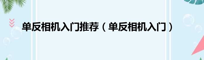 单反相机入门推荐（单反相机入门）