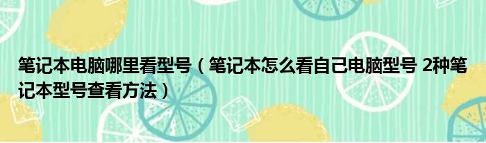 笔记本电脑哪里看型号（笔记本怎么看自己电脑型号 2种笔记本型号查看方法）