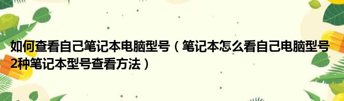 如何查看自己笔记本电脑型号（笔记本怎么看自己电脑型号 2种笔记本型号查看方法）