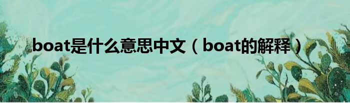 boat是什么意思中文（boat的解释）