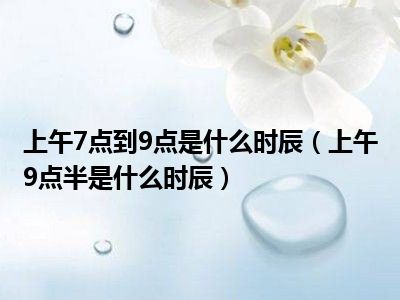 上午7点到9点是什么时辰（上午9点半是什么时辰）