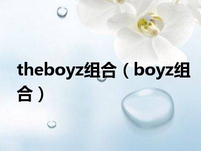 theboyz组合（boyz组合）