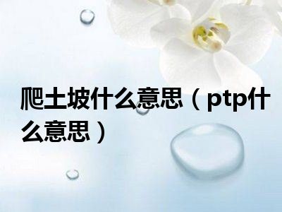 爬土坡什么意思（ptp什么意思）