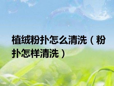 植绒粉扑怎么清洗（粉扑怎样清洗）