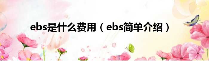 ebs是什么费用（ebs简单介绍）