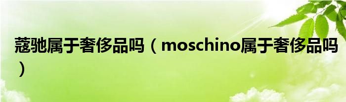  蔻驰属于奢侈品吗（moschino属于奢侈品吗）