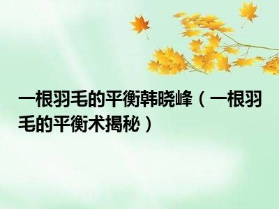 一根羽毛的平衡韩晓峰（一根羽毛的平衡术揭秘）