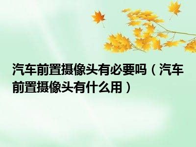 汽车前置摄像头有必要吗（汽车前置摄像头有什么用）