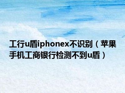 工行u盾iphonex不识别（苹果手机工商银行检测不到u盾）
