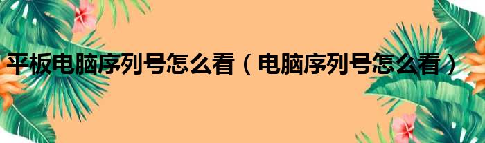 平板电脑序列号怎么看（电脑序列号怎么看）