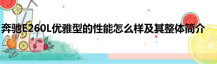 奔驰E260L优雅型的性能怎么样及其整体简介