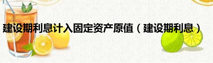 建设期利息计入固定资产原值（建设期利息）