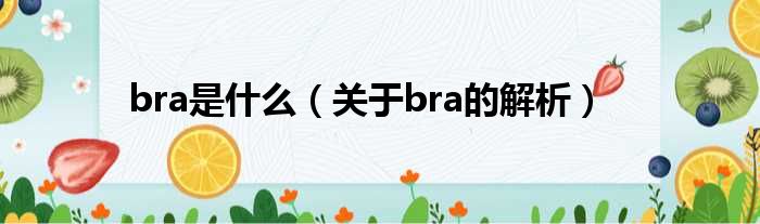 bra是什么（关于bra的解析）