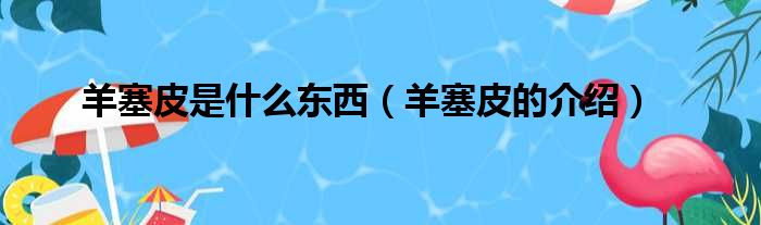 羊塞皮是什么东西（羊塞皮的介绍）