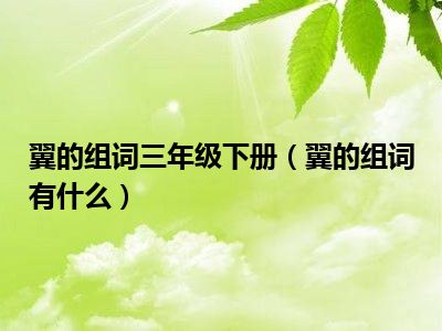 翼的组词三年级下册（翼的组词有什么）