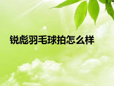 锐彪羽毛球拍怎么样