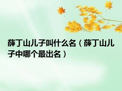 薛丁山儿子叫什么名（薛丁山儿子中哪个最出名）