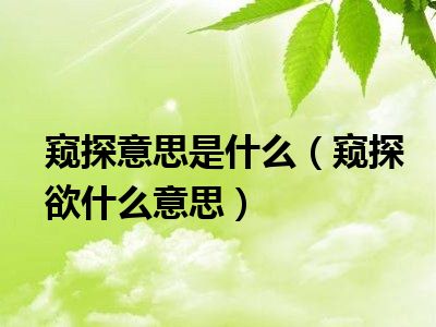 窥探意思是什么（窥探欲什么意思）