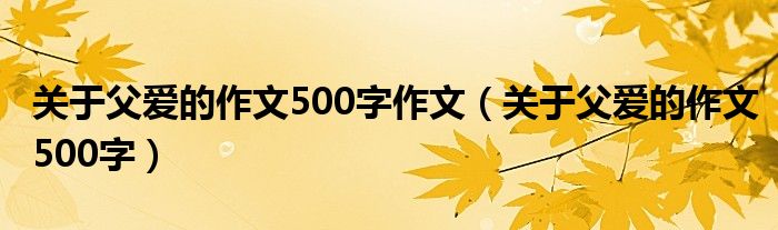  关于父爱的作文500字作文（关于父爱的作文500字）