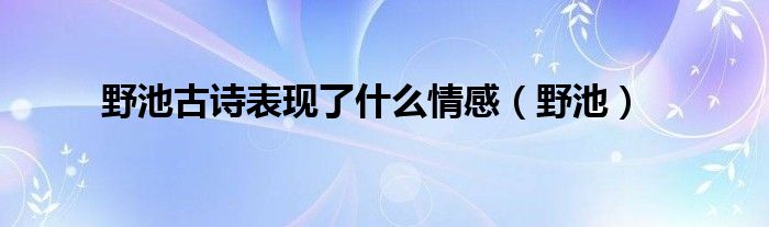  野池古诗表现了什么情感（野池）