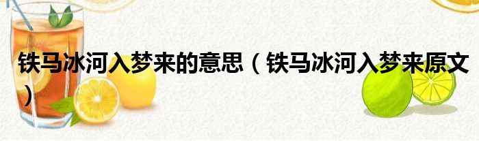 铁马冰河入梦来的意思（铁马冰河入梦来原文）