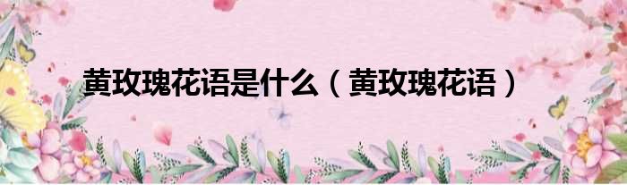 黄玫瑰花语是什么（黄玫瑰花语）