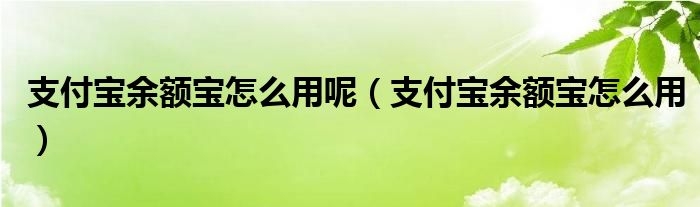  支付宝余额宝怎么用呢（支付宝余额宝怎么用）