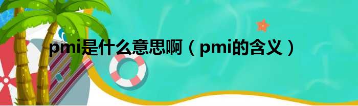 pmi是什么意思啊（pmi的含义）