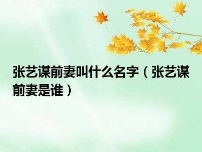 张艺谋前妻叫什么名字（张艺谋前妻是谁）