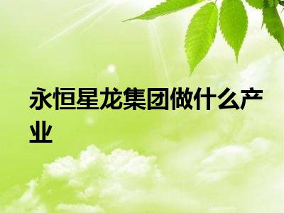 永恒星龙集团做什么产业