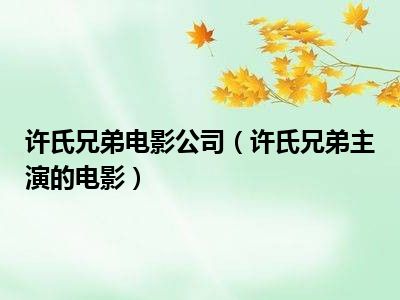 许氏兄弟电影公司（许氏兄弟主演的电影）