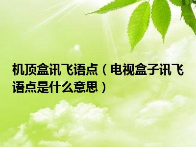 机顶盒讯飞语点（电视盒子讯飞语点是什么意思）