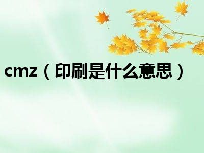 cmz（印刷是什么意思）