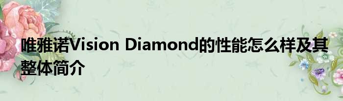 唯雅诺Vision Diamond的性能怎么样及其整体简介