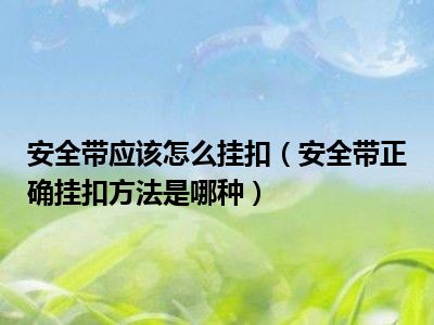 安全带应该怎么挂扣（安全带正确挂扣方法是哪种）