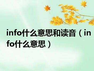 info什么意思和读音（info什么意思）