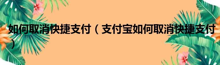 如何取消快捷支付（支付宝如何取消快捷支付）