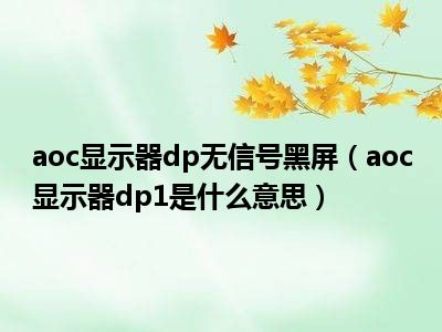 aoc显示器dp无信号黑屏（aoc显示器dp1是什么意思）