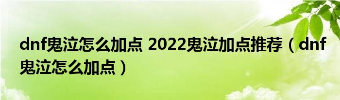  dnf鬼泣怎么加点 2022鬼泣加点推荐（dnf鬼泣怎么加点）