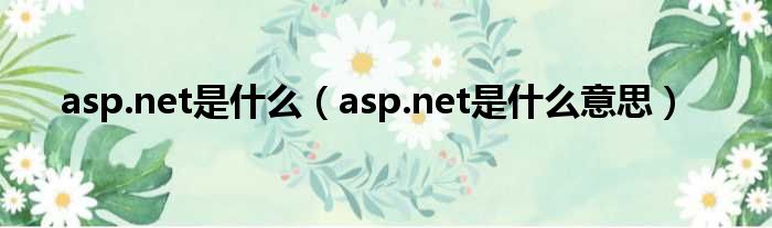 asp.net是什么（asp.net是什么意思）