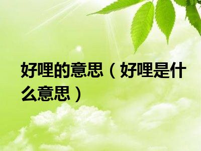 好哩的意思（好哩是什么意思）